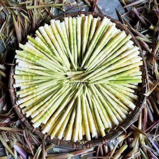 云和县小竹笋野竹笋产地直供，一手货源
