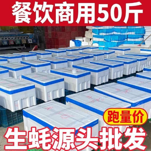 连云港精品生蚝批发 工厂全国一手货源生蚝批发