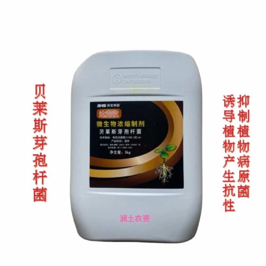 滨农科技达完收贝莱斯芽孢杆菌有效活菌数200.0亿/ml增抗