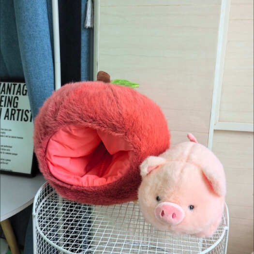 保定苹果猪猪毛绒玩具