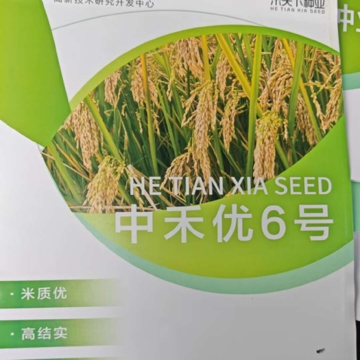 中禾优6号优质杂交稻