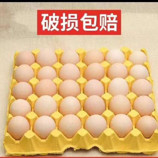 怀远县鸡蛋安徽 自家散养鸡