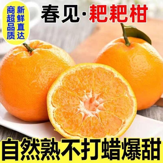 海口四川春见耙耙柑丑橘不知火应季水果整箱大果产地直发