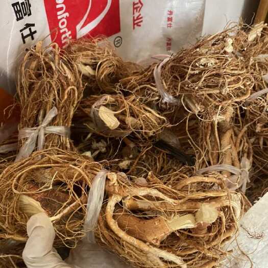 佛冈县五指毛桃干五指毛桃干
