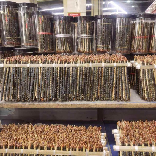 湖北钟祥红头蜈蚣干货 批发零售 品质优选