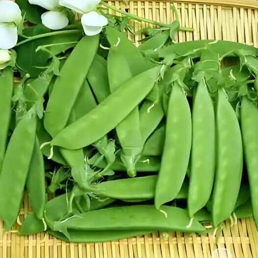 荷兰豆