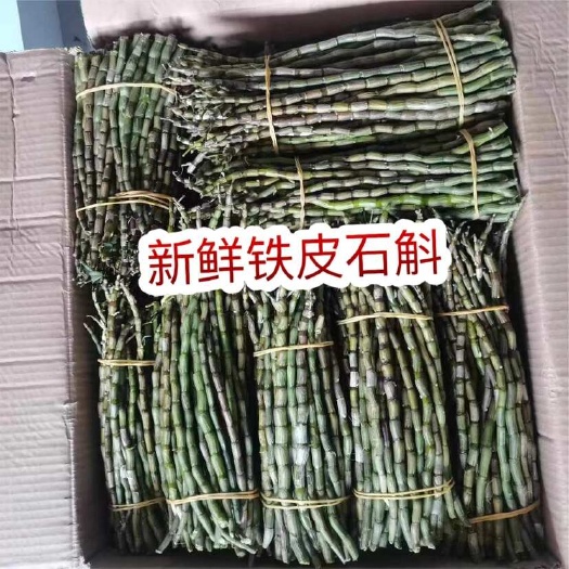 佛山新鲜石斛 地摊批发电商铁皮石斛紫皮石斛新鲜石斛条枫斗条