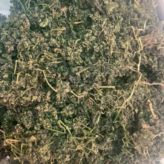 绞股蓝  成串绞股蓝产地一手货源