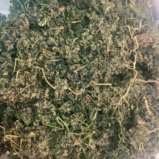 玉林绞股蓝  成串绞股蓝产地一手货源