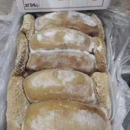 郑州国产119牛肚带金肚