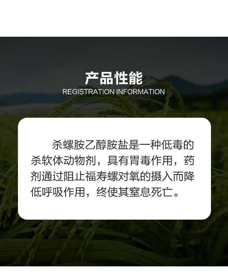 济南天邦千扑70杀螺胺乙醇胺老牌子水稻田福寿螺杀虫剂杀螺经济