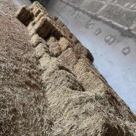 茶陵县大型自产自销新鲜带绿揉丝带斩断精品稻草杆