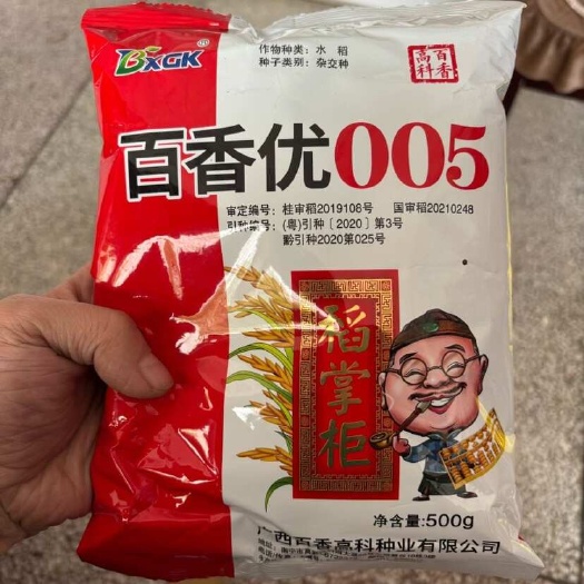 凯里市正品百香优005泰国一级香米型水稻种子杂交水稻种子早晚稻