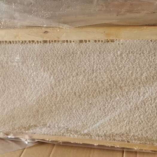长葛市蜂巢蜜 整张大张封口封盖蜜脾