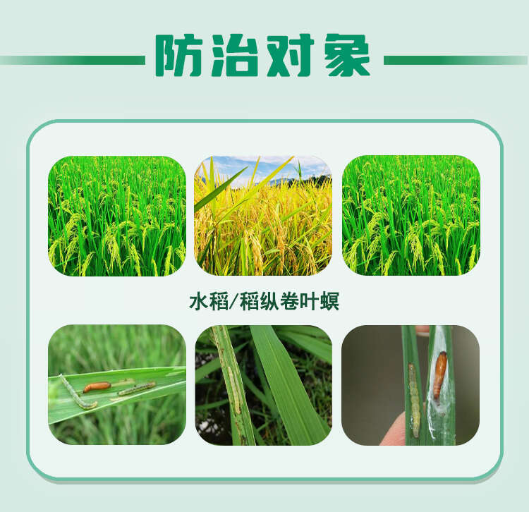 南农200克/升氯虫苯甲酰胺水稻稻纵卷叶螟国产康宽杀虫剂