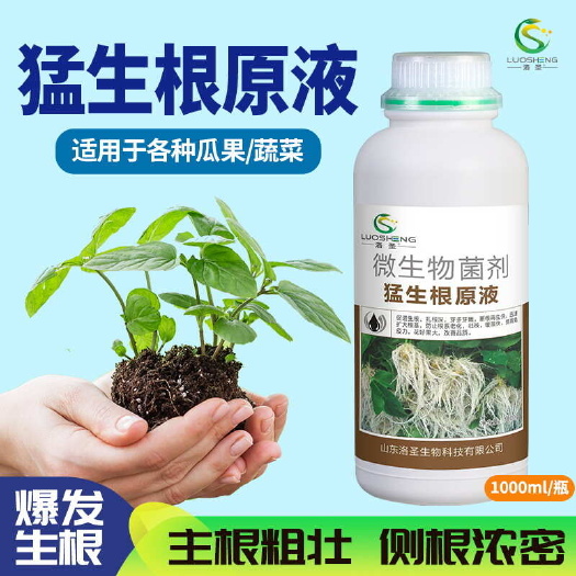 苍溪县洛圣猛生根原液强力生根壮苗移栽扦插果蔬花卉绿植专用促根壮根肥