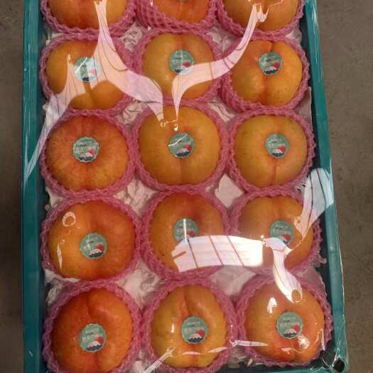 蒙阴县精品蟠桃 单果3-5两 支持整车代发