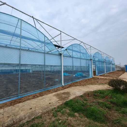沭阳县江苏宿迁大棚骨架送货上门支持定制开发票适合温室大棚种植