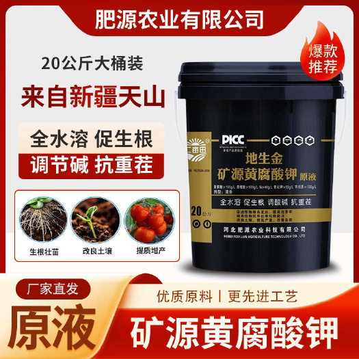 邯郸黄腐酸钾单质肥 邯郸永年区直发 农作物专用营养剂