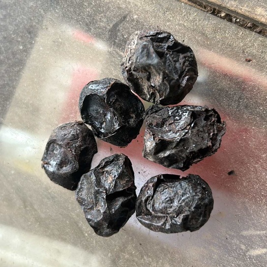 汉寿县湖南汉寿优质南酸枣 干果中药材 批发零售
