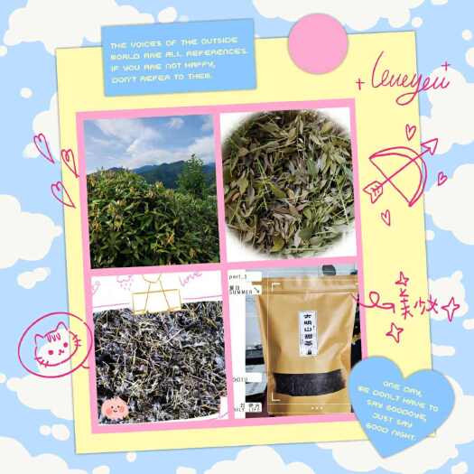 南宁广西南宁武鸣区优质甜茶叶天然草本植物茶饮