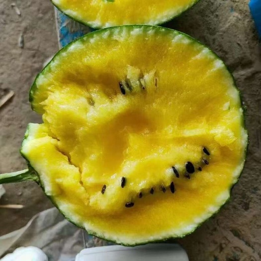 沭阳县特小凤西瓜