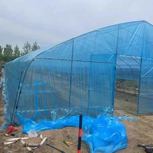 沭阳县单体种植棚