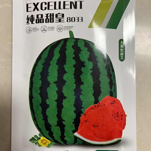 夏邑县纯品甜皇8033甜王西瓜种子，中熟偏晚，大果型，密度高口感好