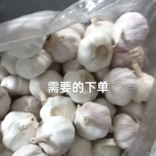 邳州市净蒜精品红蒜红蒜质量好价格高