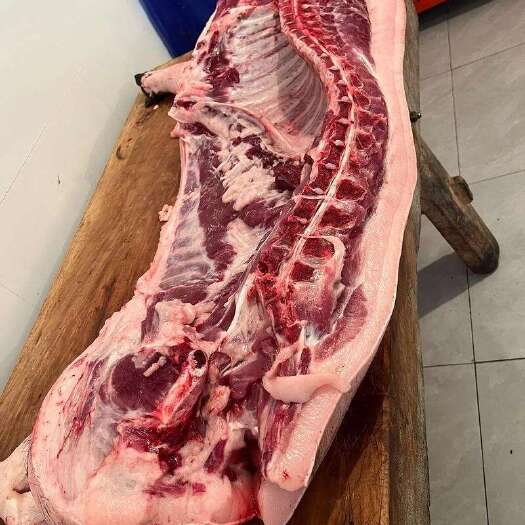 猪肉全类产品