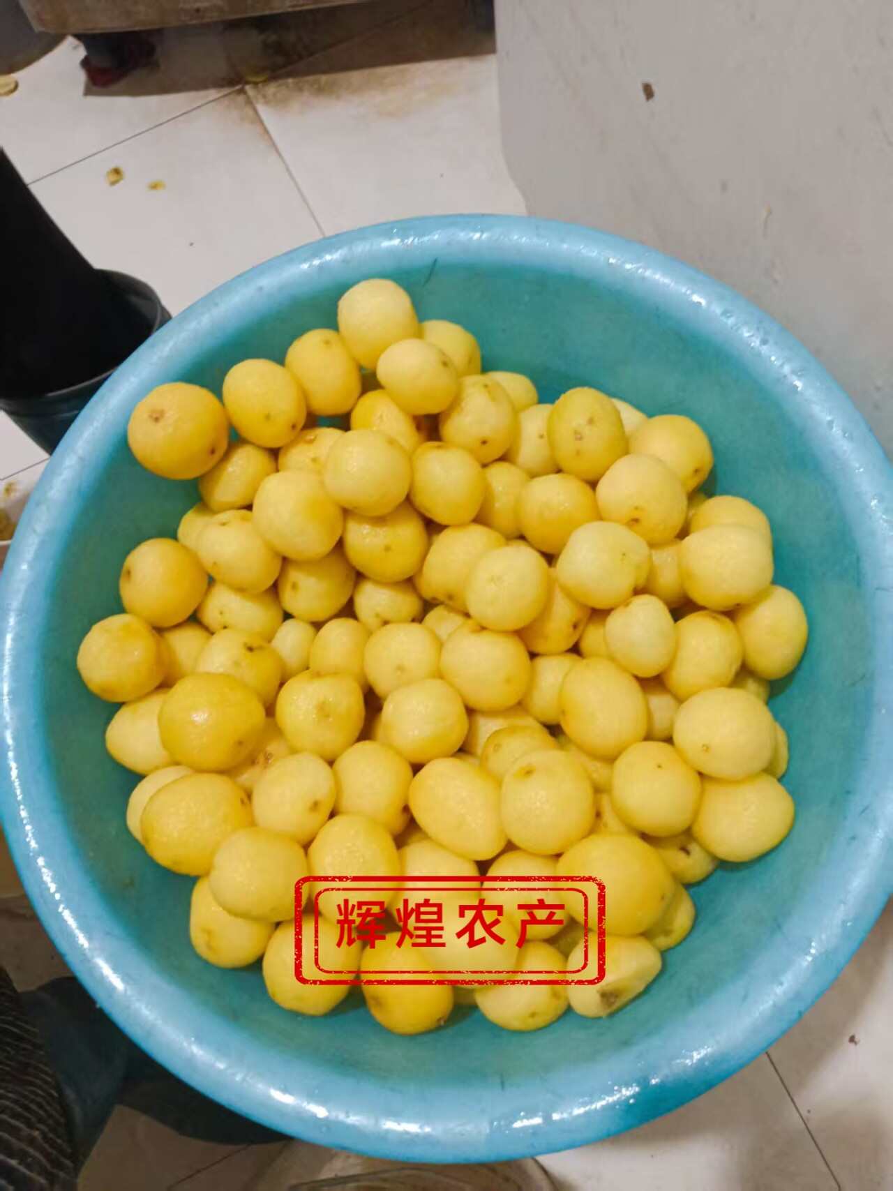 2025现挖现发新鲜黄心迷你小土豆油炸神农架恩施专用炕小洋芋