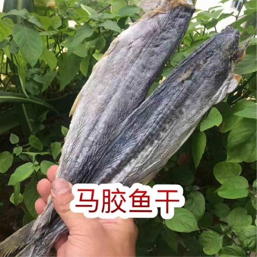 马鲛鱼干 地摊电商批发鲅鱼干干马鲛鱼干鱼干货干小鱼干鱼干干鱼