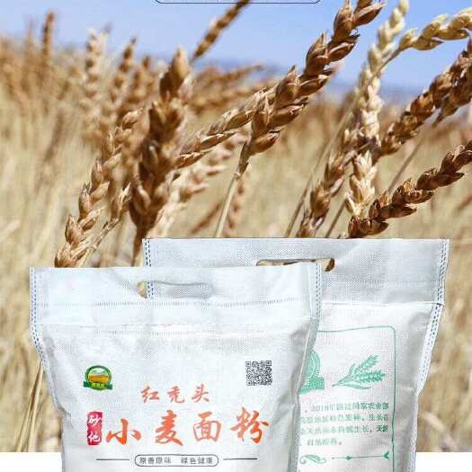 古浪县红秃头面粉