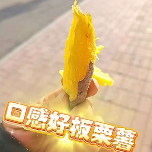 南乐县板栗薯 济薯26 香甜型