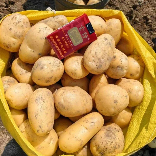 瑞丽市云南土豆黄心白心大量有货，支持各种规格