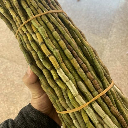 云南300亩铁皮石斛鲜条基地直发拒绝高价优势斛农批发打下来
