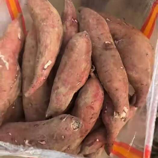 南乐县白心红薯商薯19 粉面 甜