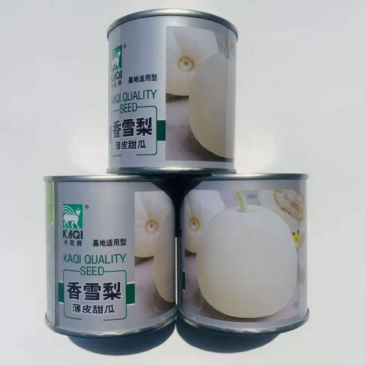 宿迁香雪梨白皮甜瓜种子 早熟耐低温薄皮甜瓜种子
