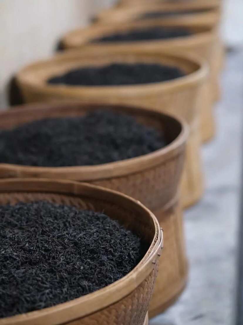 新品到手80包【香港宝芝林黑乌龙茶250g/袋80包！