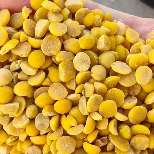亳州豆瓣，黄豆瓣，色选豆瓣，安徽豆瓣，江苏豆瓣，河南豆瓣