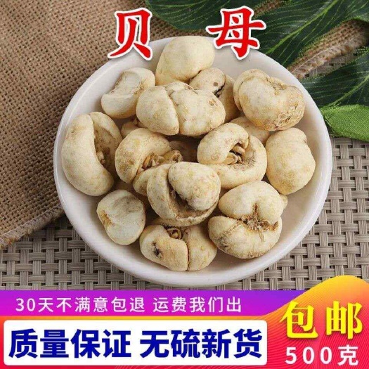 亳州平贝母中药材 干货足称 质量优 发货快