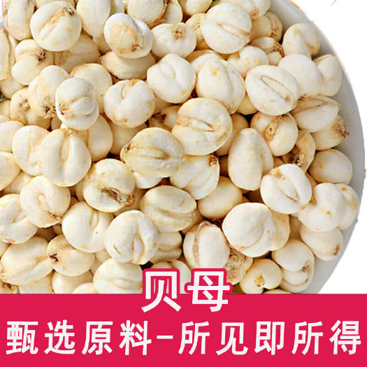 亳州川贝母中药材 优质根茎类药材 安徽亳州发货