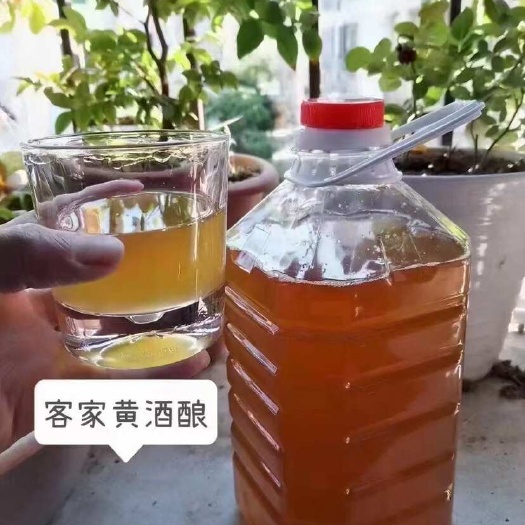 和平县糯米  客家黄酒娘，黄酒甘甜芳醇