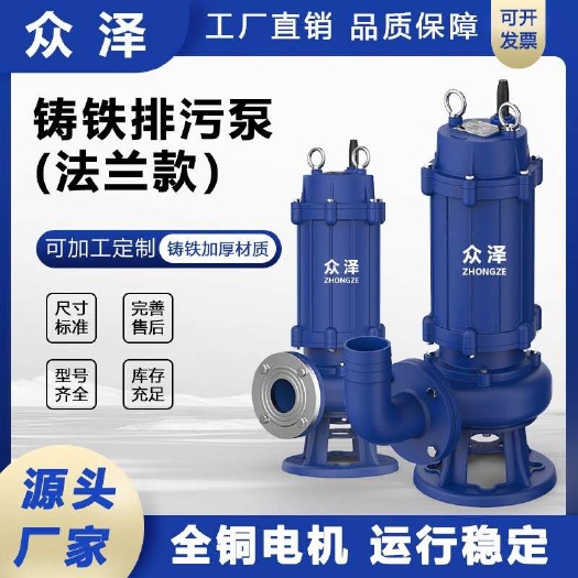 温岭直发高效排污泵 农业灌溉专用耐用水泵