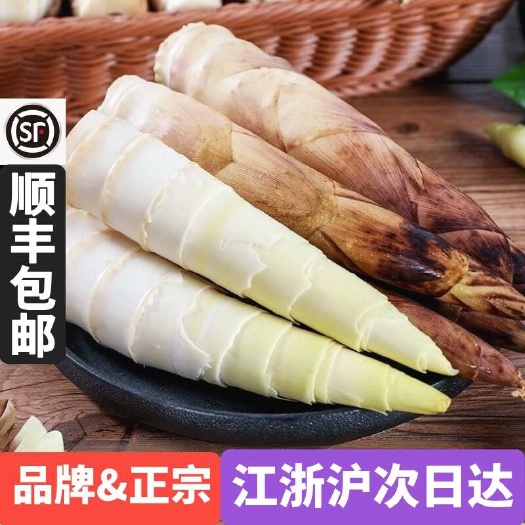 杭州浙江临安春笋天目山雷笋鲜嫩竹笋新鲜现切根/带跟