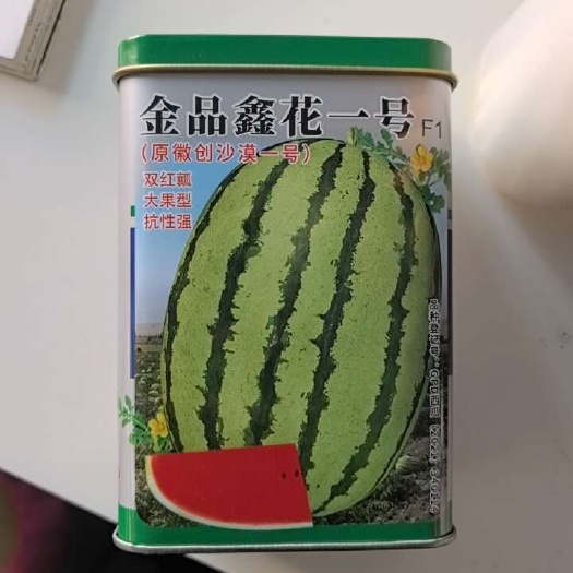 巴彦淖尔大果型绿宝沙漠一号西瓜种子
