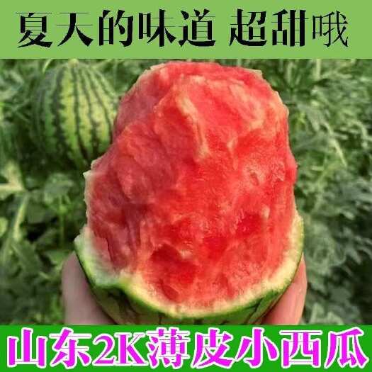 昌乐县山东潍坊，冰糖子，2k西瓜、甜王直发对接各大商超批发欢迎洽谈