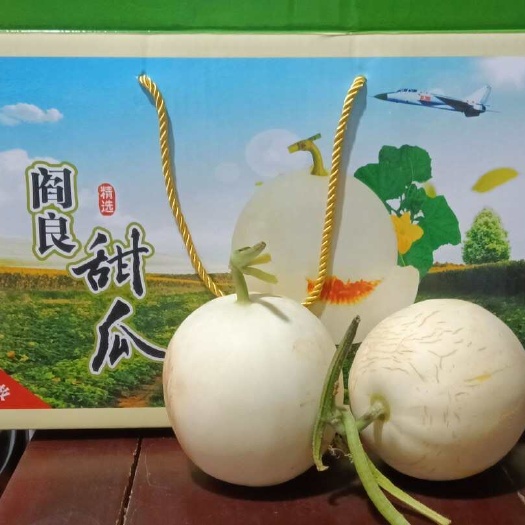 西安闫良清脆甜瓜，支持一件代发，出口，团购，市场，商超。