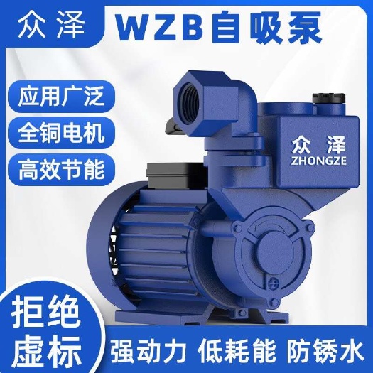 温岭市温岭增压泵厂家直销 农用排灌设备水泵 稳定高效节水耐用
