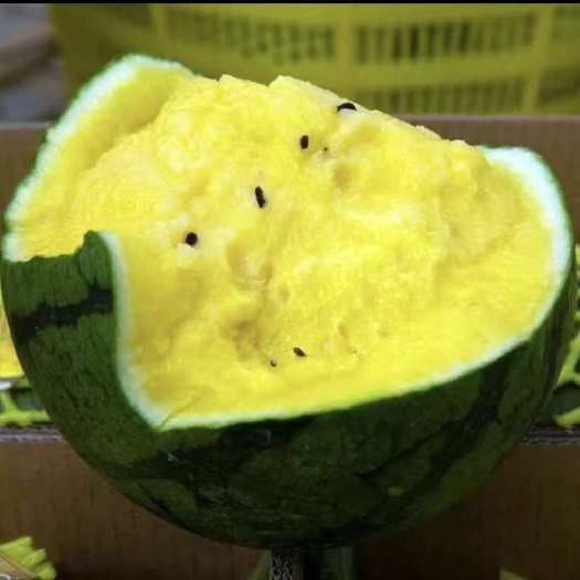 沭阳县特小凤 黄瓤西瓜